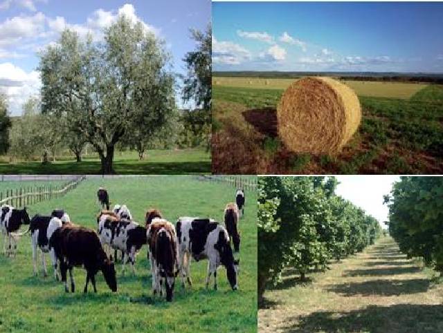 Foto news - Clicca per tornare alla pagina precedente